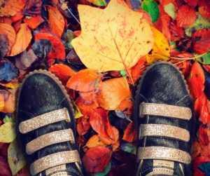 Open-Box $image['alt']);